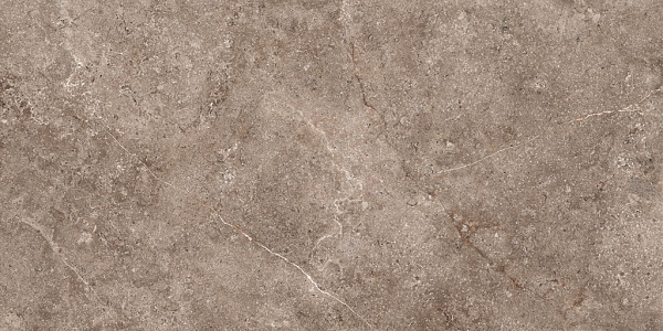 GeoCeramica® 60x60x4 Landstone Earth