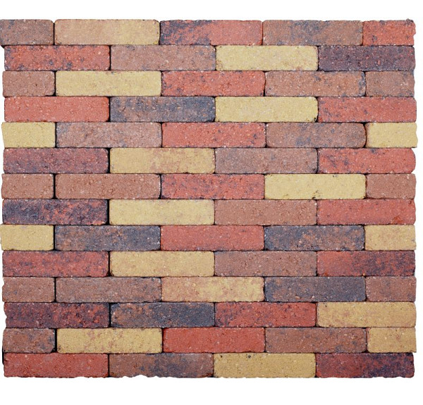 ACTIONLINE Melange coloré  20x5x7 (wf)