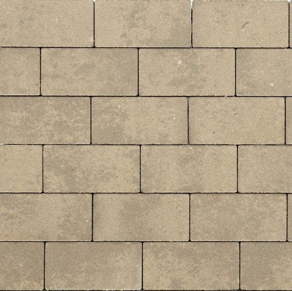 GeoCotto 20x5x8 Loto