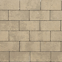 GeoCotto 20x5x8 Loto